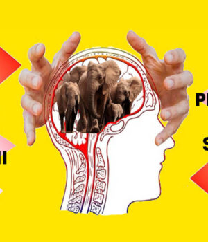1° passo – L’elefante nella stanza: la moneta