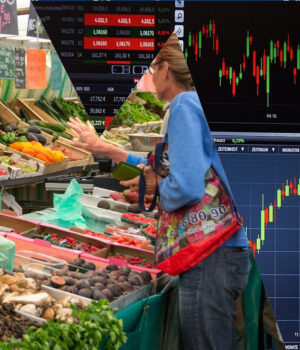 4° passo – Cause monetarie della crisi economica